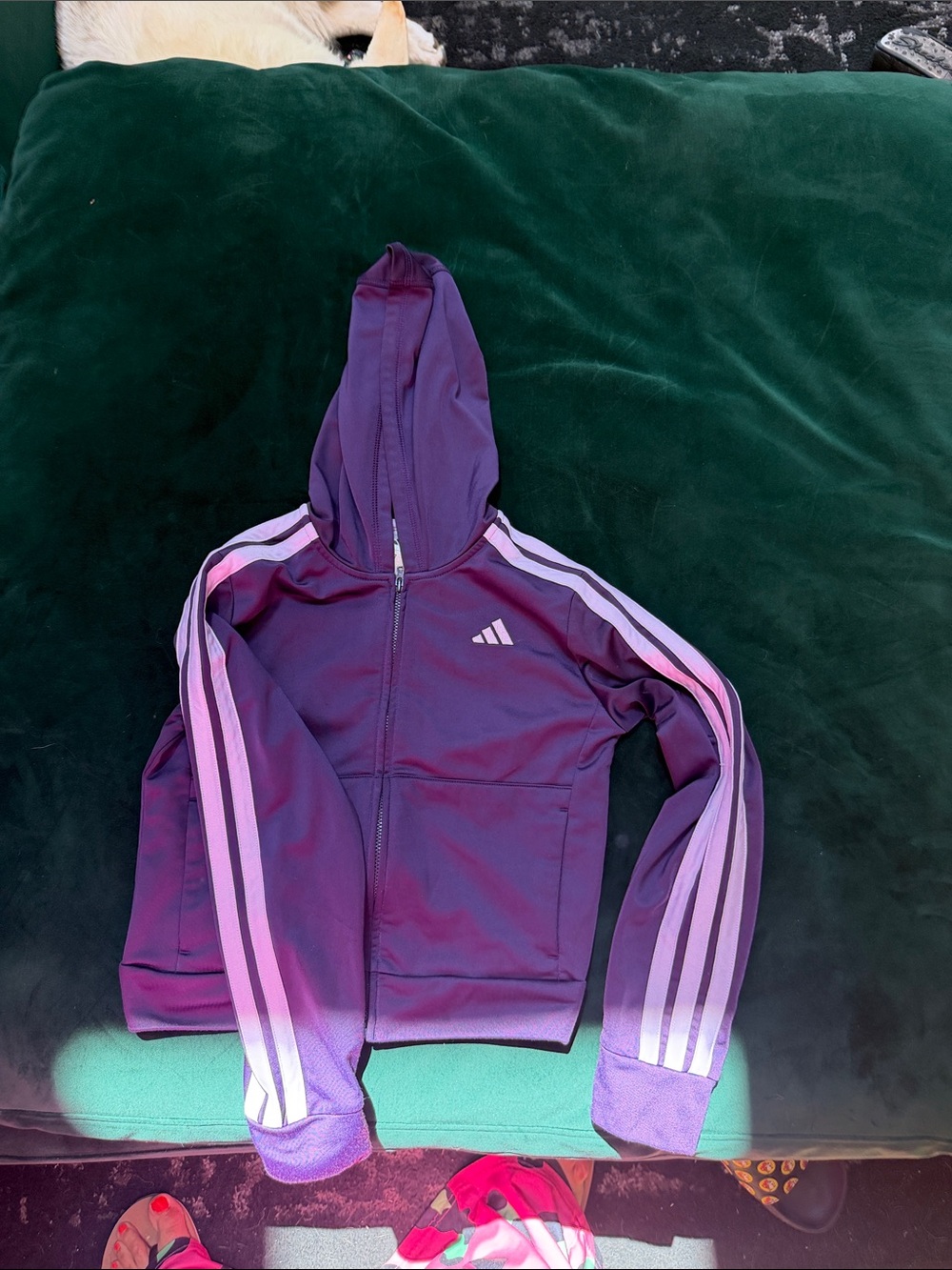 Adidas Purple Hooded Jacket with Signature Stripes